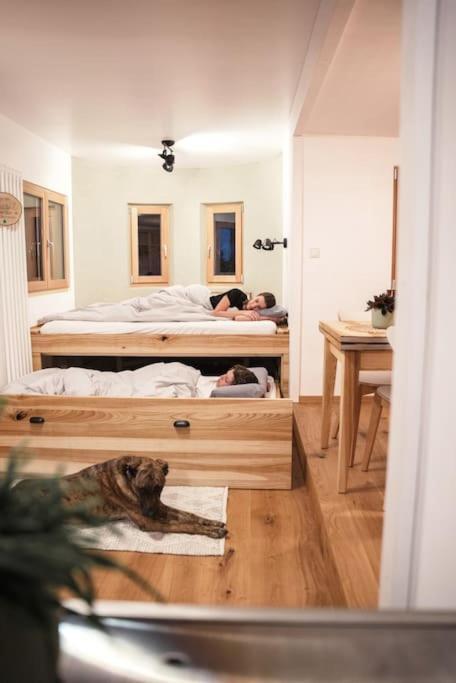 Wohnwagon Paul - Autarkie Erleben! - Tiny House Villa Oberschneiding Exterior foto